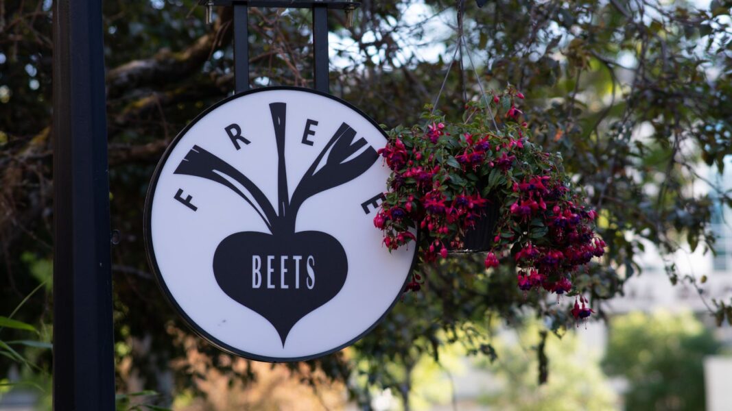 Fresh, made-from-scratch salad at FreeBeets Café