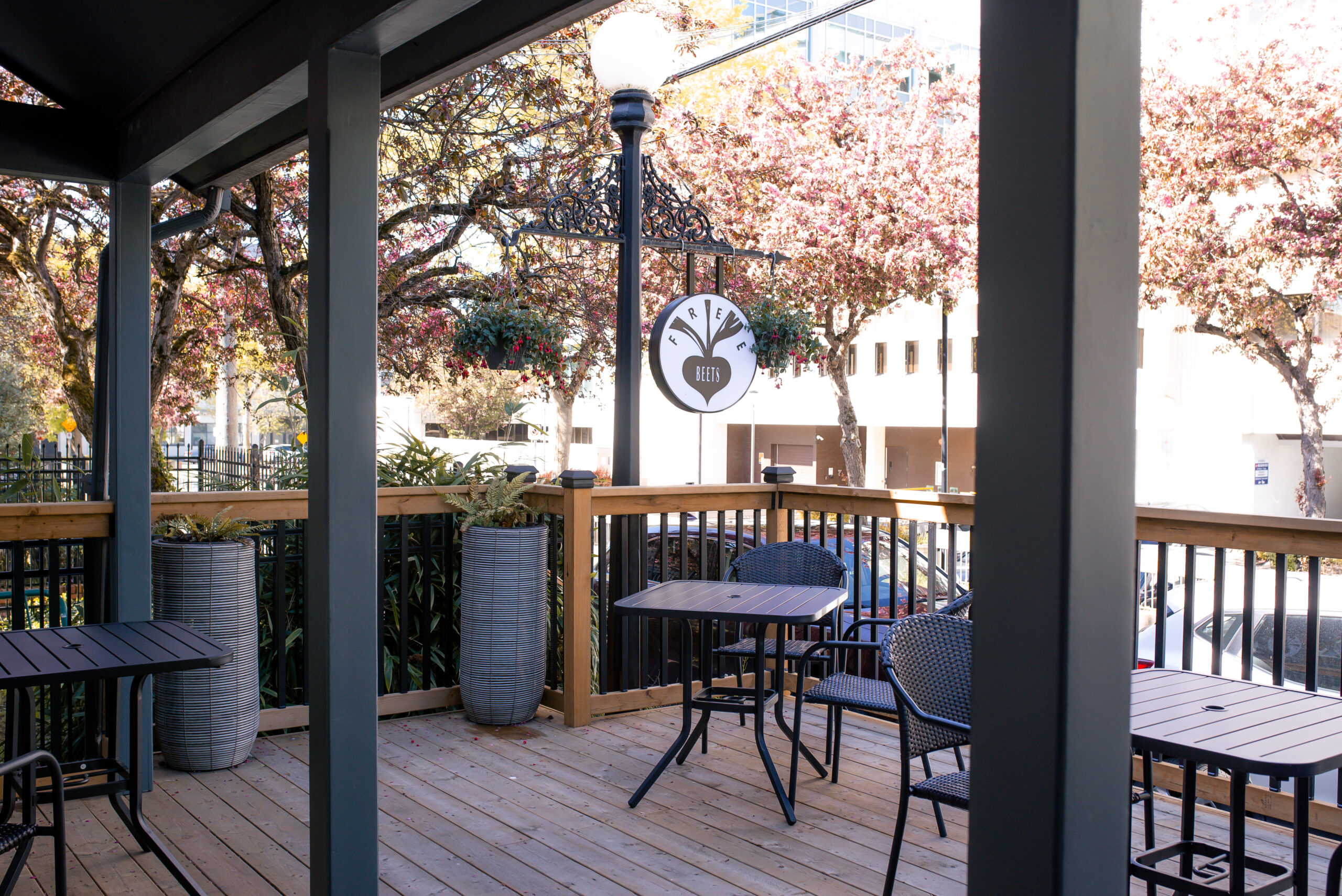 Fresh baked goods at FreeBeets Café Victoria