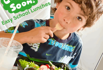 School Lunches by FreeBeets