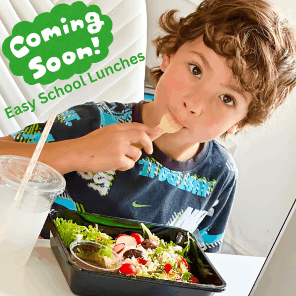 Healthy kids lunch with fruit, veggies, and protein, made in Victoria BC